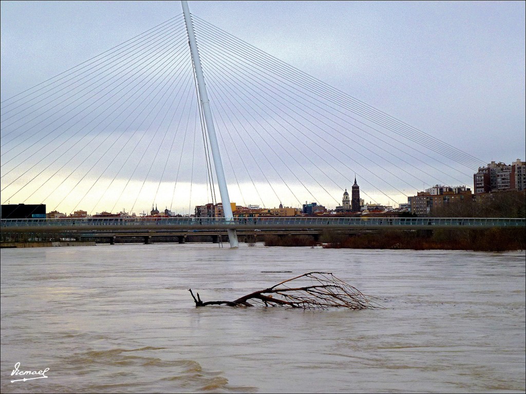 Foto: 130122-082 RIADA EN EL EBRO - Zaragoza (Aragón), España