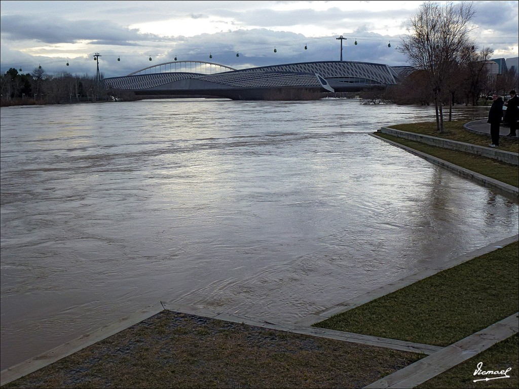 Foto: 130122-085 RIADA EN EL EBRO - Zaragoza (Aragón), España