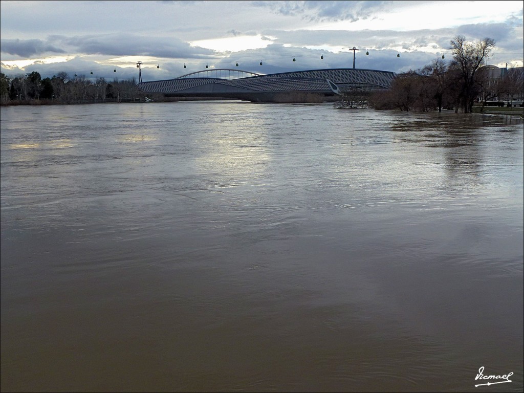 Foto: 130122-087 RIADA EN EL EBRO - Zaragoza (Aragón), España