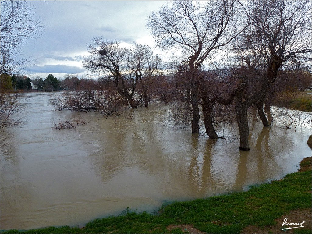 Foto: 130122-089 RIADA EN EL EBRO - Zaragoza (Aragón), España