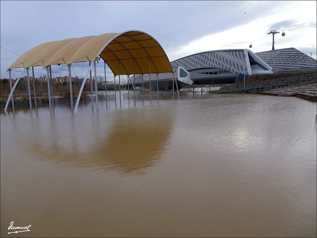 Foto: 130122-093 RIADA EN EL EBRO - Zaragoza (Aragón), España