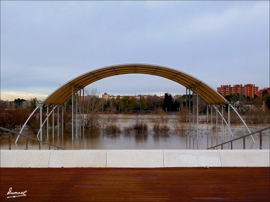 Foto: 130122-095 RIADA EN EL EBRO - Zaragoza (Aragón), España