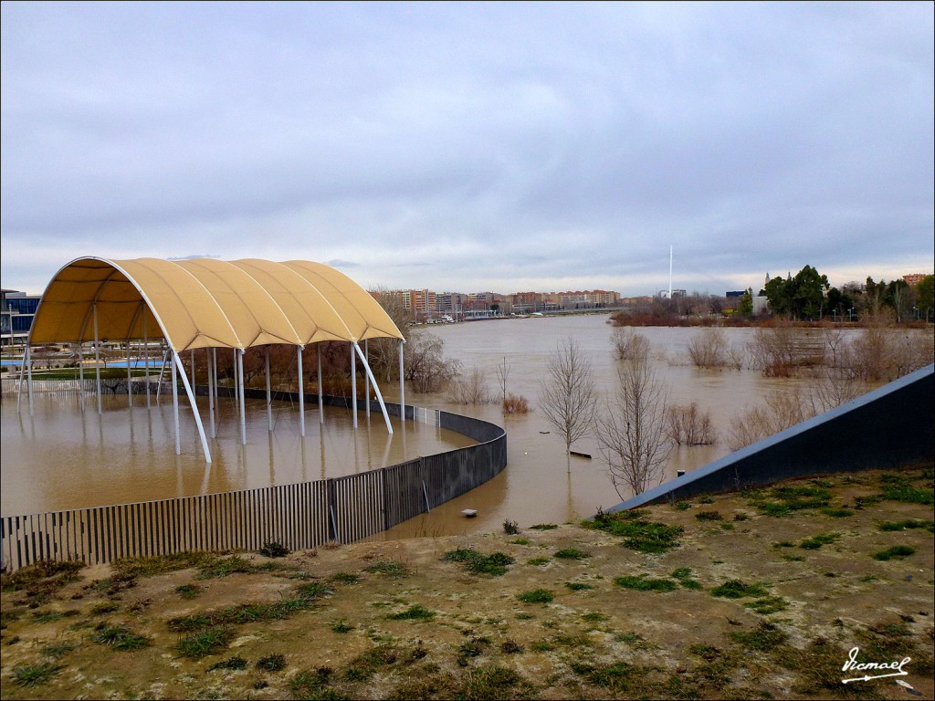 Foto: 130122-097 RIADA EN EL EBRO - Zaragoza (Aragón), España