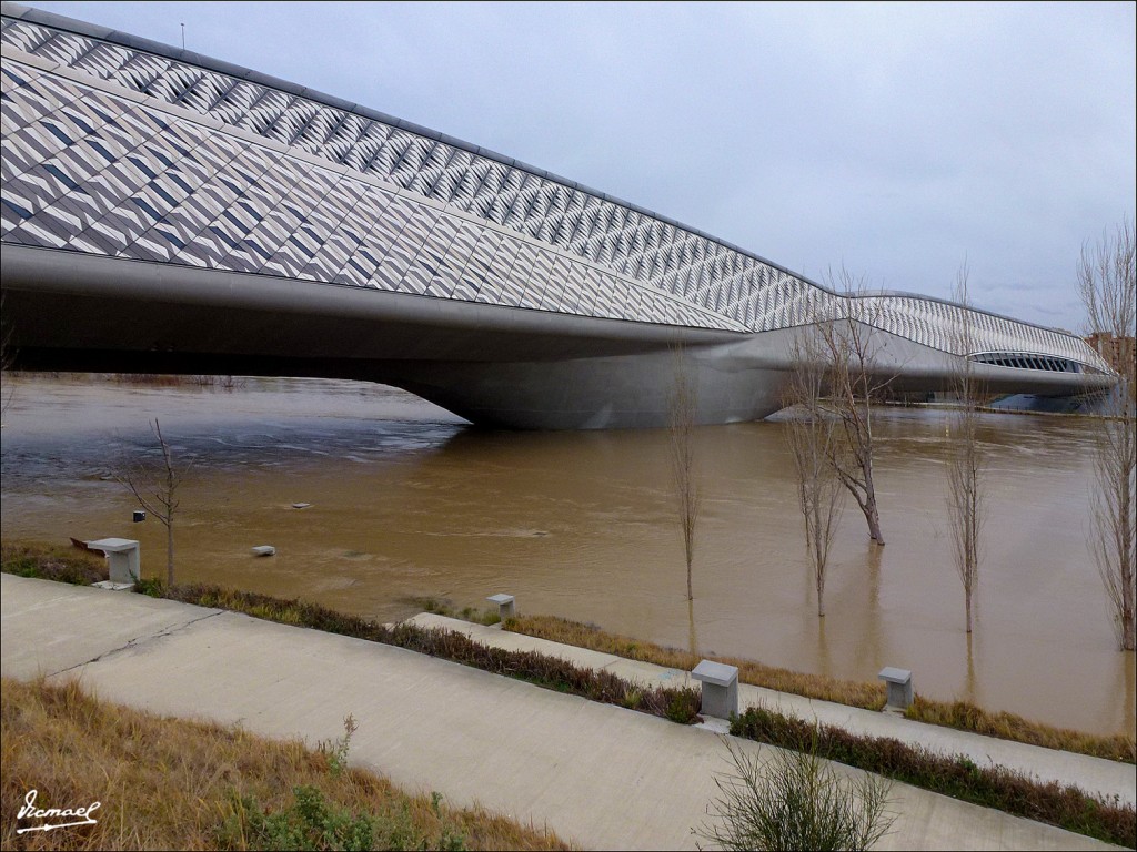 Foto: 130122-101 RIADA EN EL EBRO - Zaragoza (Aragón), España