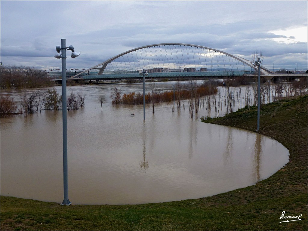 Foto: 130122-111 RIADA EN EL EBRO - Zaragoza (Aragón), España