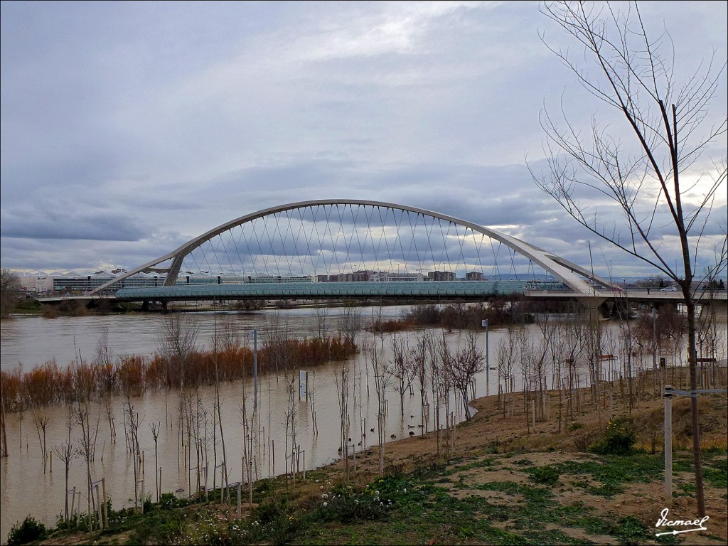 Foto: 130122-104 RIADA EN EL EBRO - Zaragoza (Aragón), España