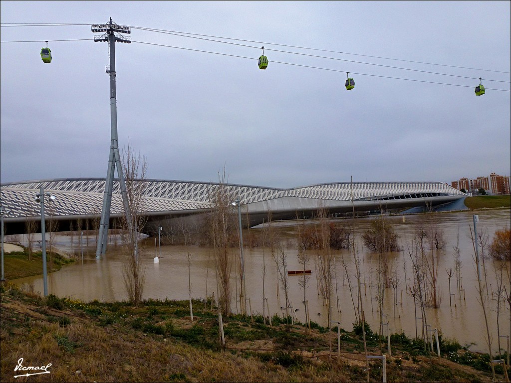 Foto: 130122-107 RIADA EN EL EBRO - Zaragoza (Aragón), España