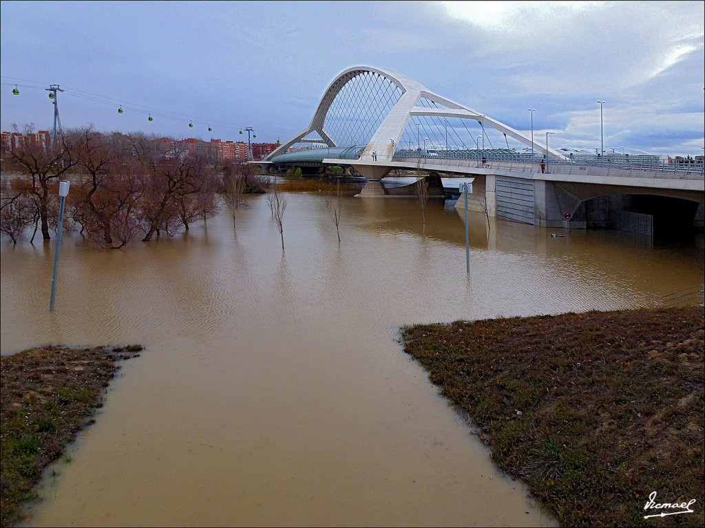 Foto: 130122-111 RIADA EN EL EBRO - Zaragoza (Aragón), España