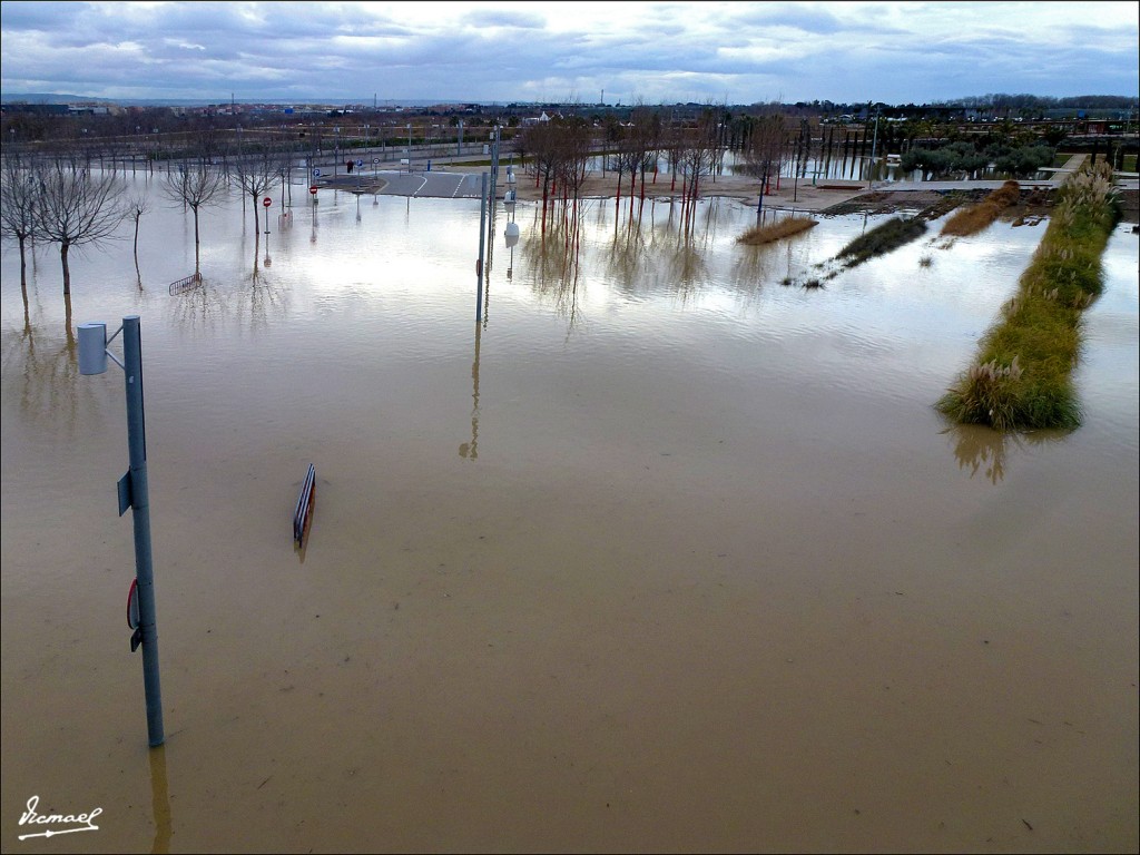 Foto: 130122-114 RIADA EN EL EBRO - Zaragoza (Aragón), España