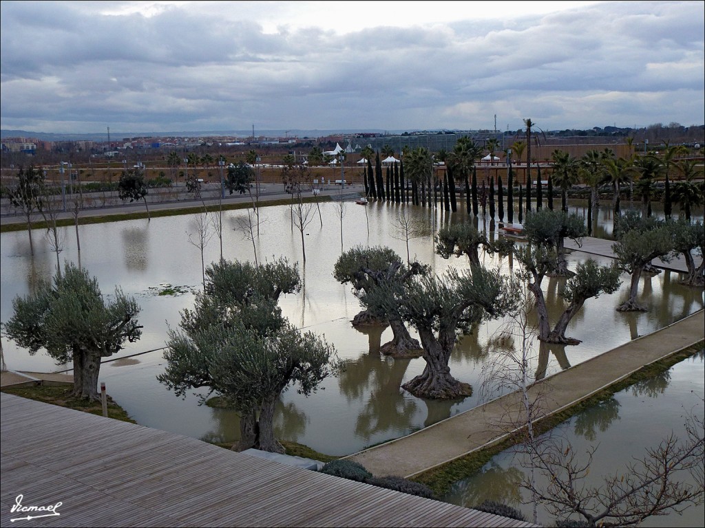 Foto: 130122-116 RIADA EN EL EBRO - Zaragoza (Aragón), España