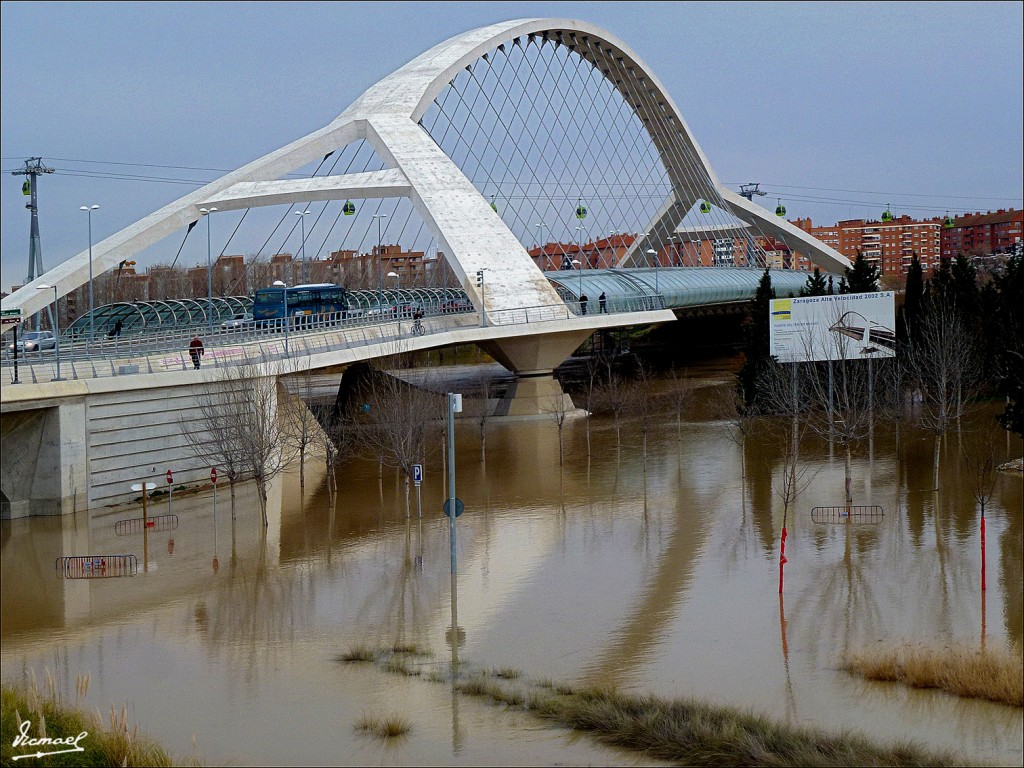 Foto: 130122-117 RIADA EN EL EBRO - Zaragoza (Aragón), España