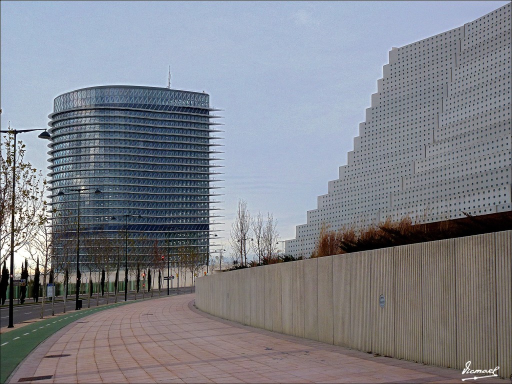 Foto: 130122-119 RIADA EN EL EBRO - Zaragoza (Aragón), España