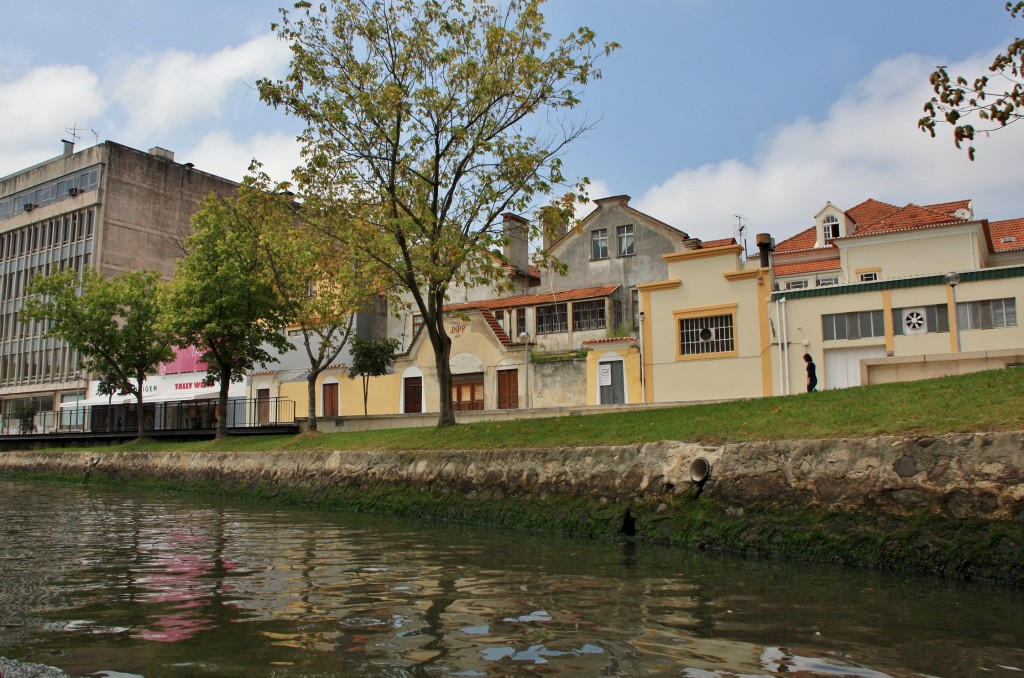 Foto: Navegando en un moliceiro - Aveiro, Portugal