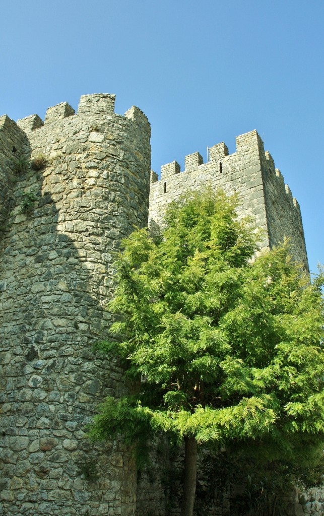 Foto: Castillo - Montemor-o-Velho (Coimbra), Portugal