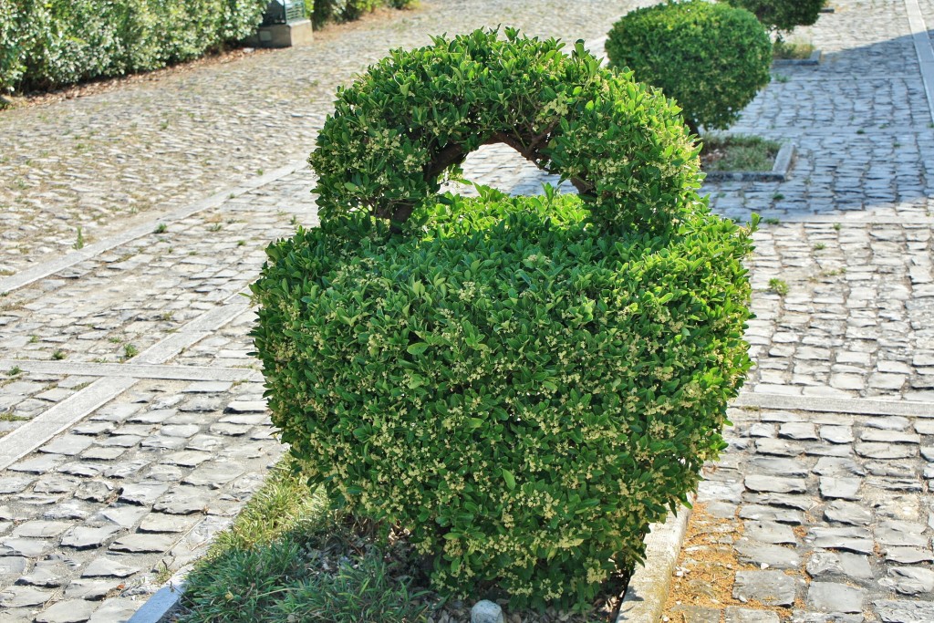 Foto: Castillo - Montemor-o-Velho (Coimbra), Portugal