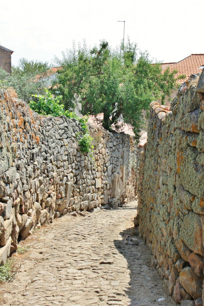 Foto: Centro histórico - Pinhel (Guarda), Portugal