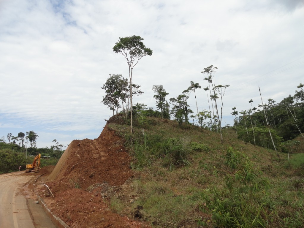 Foto: El medio ambiente. - Simón Bolívar (Pastaza), Ecuador