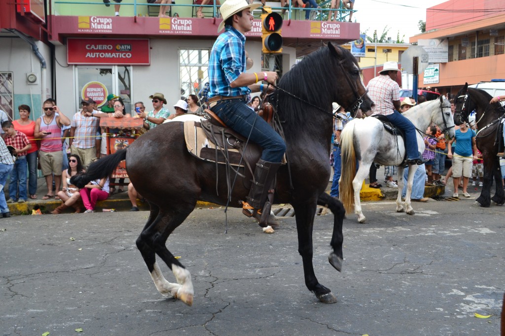 Foto: Tope Sarchi 2013 - Sarchi (Alajuela), Costa Rica