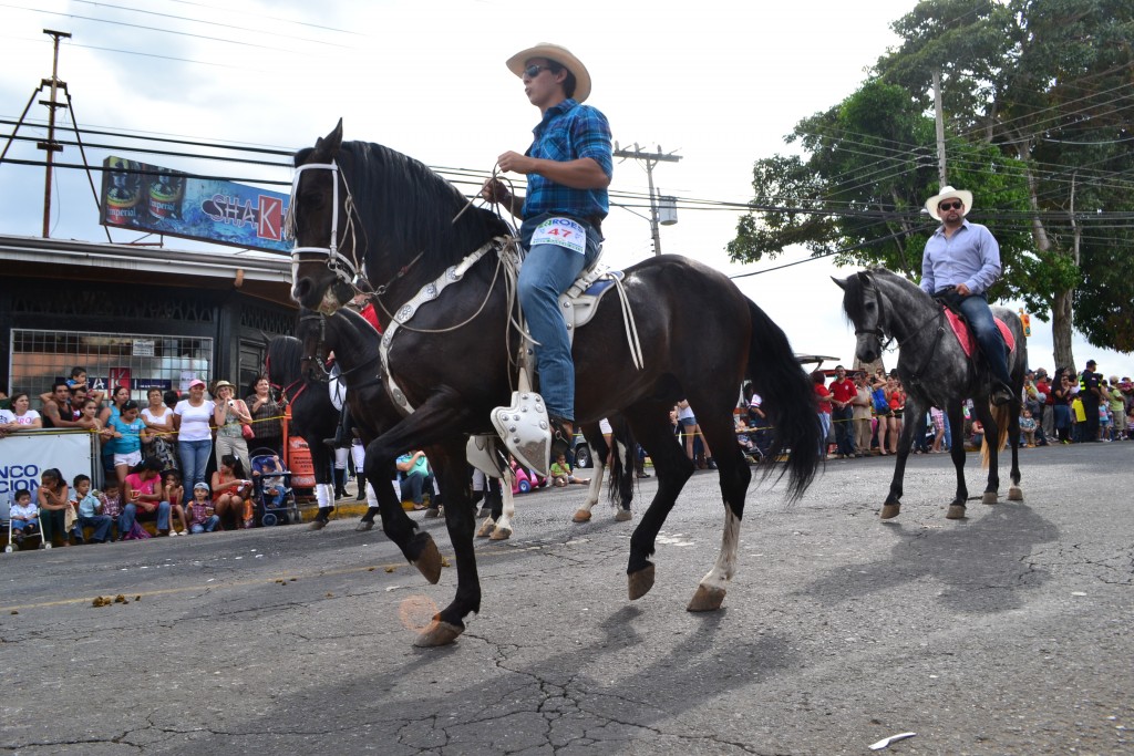 Foto: Tope Sarchi 2013 - Sarchi (Alajuela), Costa Rica