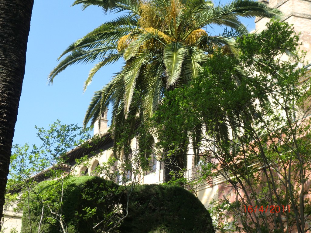 Foto de Sevilla (Andalucía), España