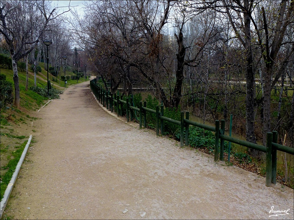 Foto: 130127-15 PARQUE DEL HUERVA - Zaragoza (Aragón), España