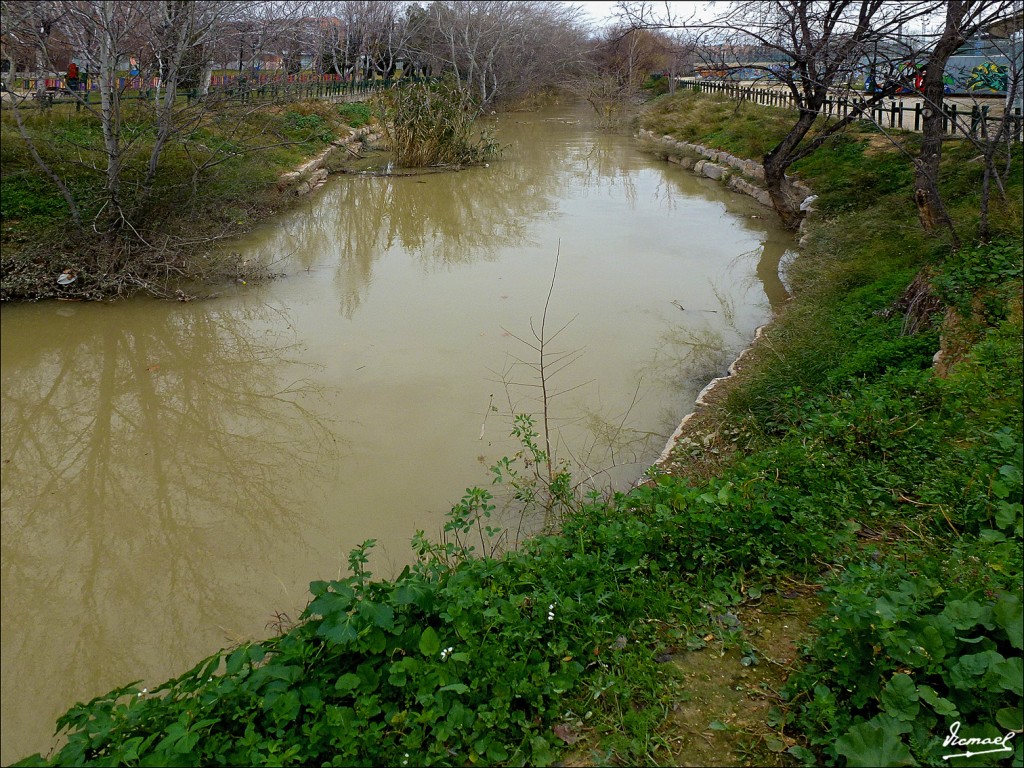 Foto: 130127-16 PARQUE DEL HUERVA - Zaragoza (Aragón), España