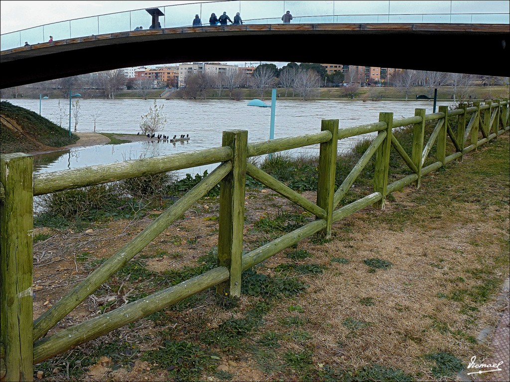 Foto: 130127-23 PARQUE DEL HUERVA - Zaragoza (Aragón), España