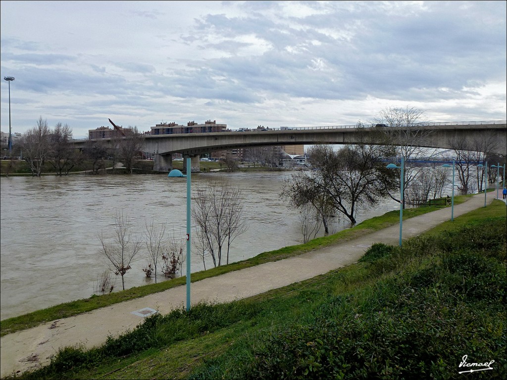 Foto: 130127-24 PARQUE DEL HUERVA - Zaragoza (Aragón), España