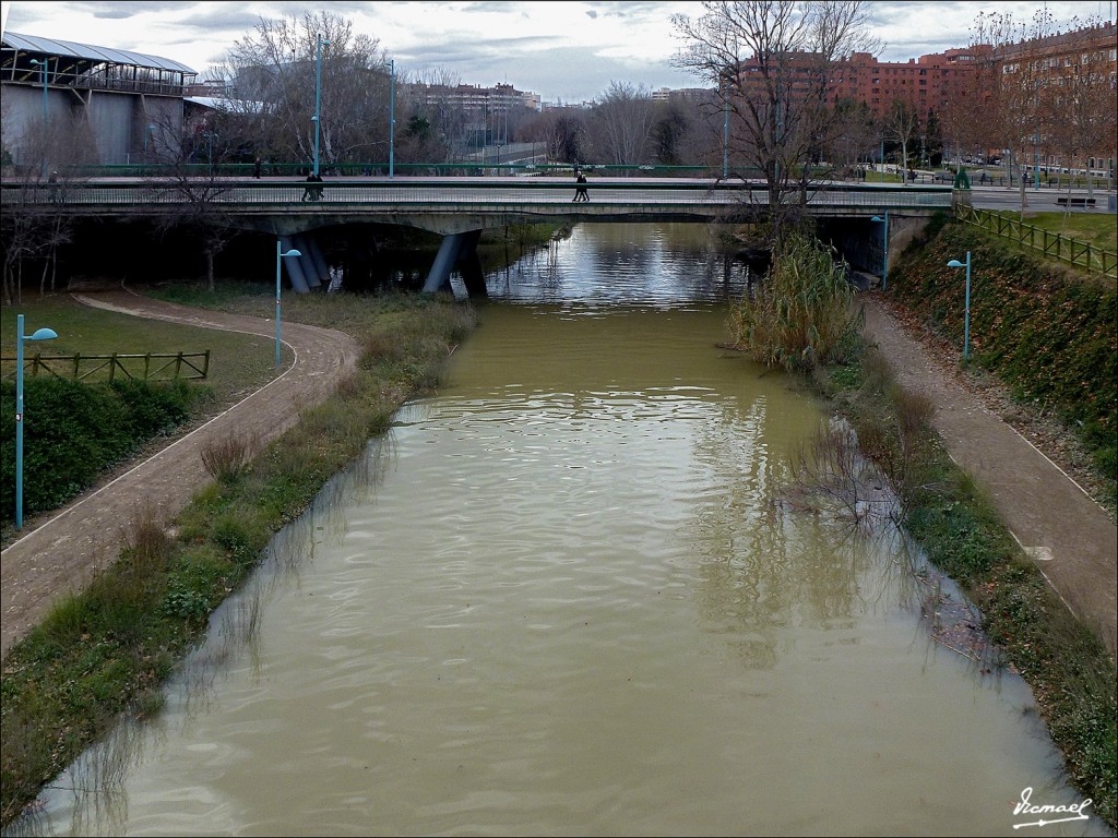 Foto: 130127-32 PARQUE DEL HUERVA - Zaragoza (Aragón), España