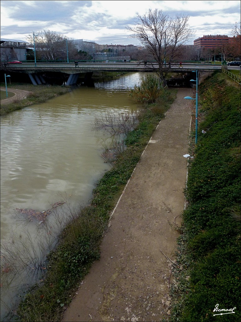 Foto: 130127-33 PARQUE DEL HUERVA - Zaragoza (Aragón), España