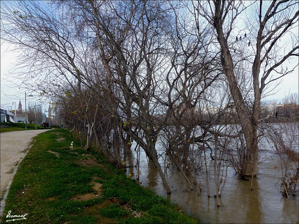 Foto: 130127-38 PARQUE DEL HUERVA - Zaragoza (Aragón), España