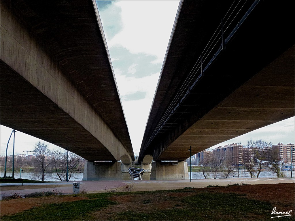 Foto: 130127-40 PARQUE DEL HUERVA - Zaragoza (Aragón), España