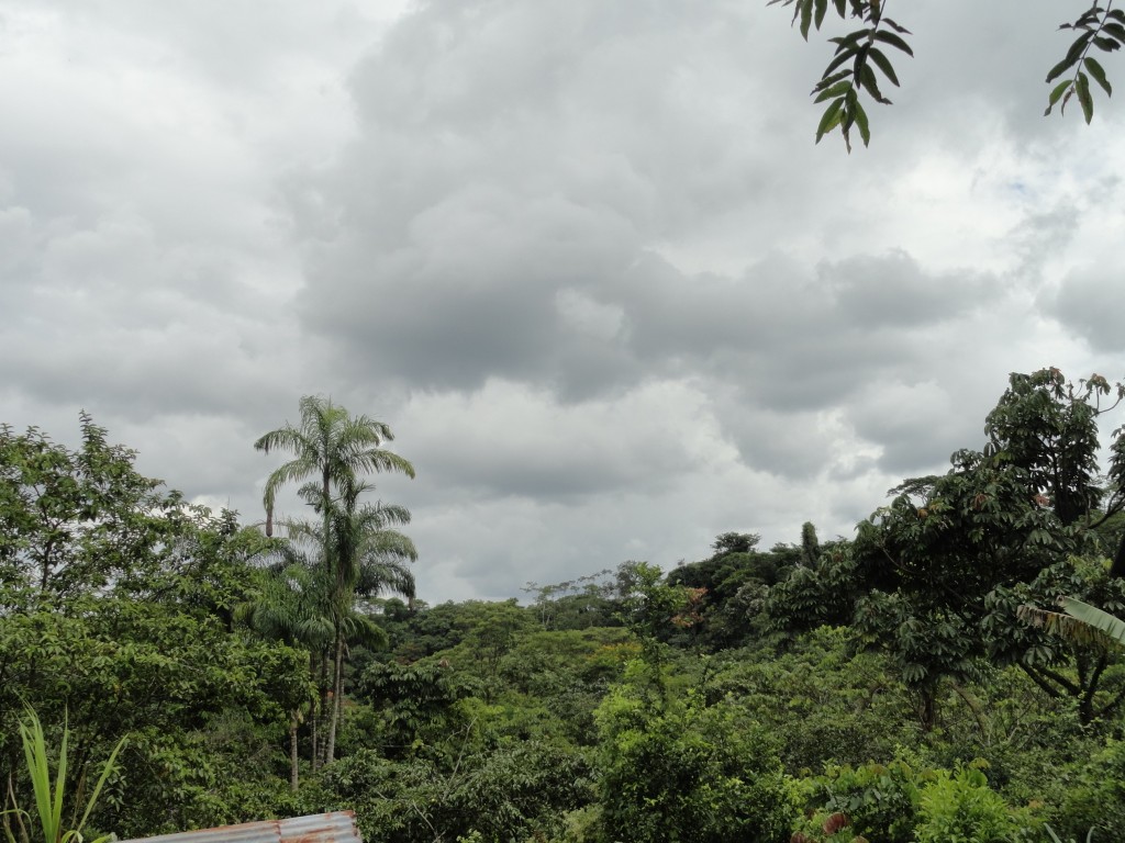 Foto: Pisaje - Shell (Pastaza), Ecuador