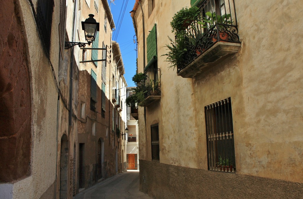 Foto: Vista del pueblo - Tivissa (Tarragona), España