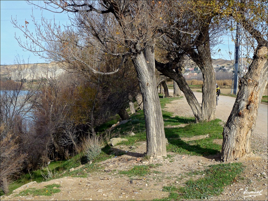 Foto: 121230-19 PUENTE A-2 EN EBRO - Zaragoza (Aragón), España