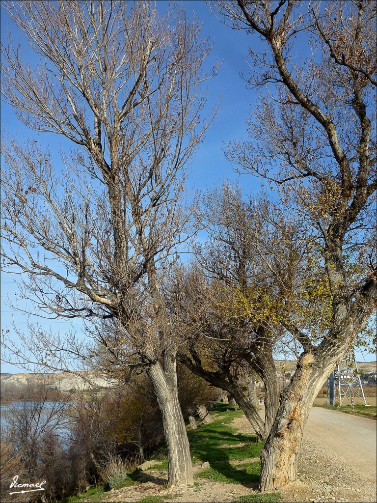 Foto: 121230-20 PUENTE A-2 EN EBRO - Zaragoza (Aragón), España