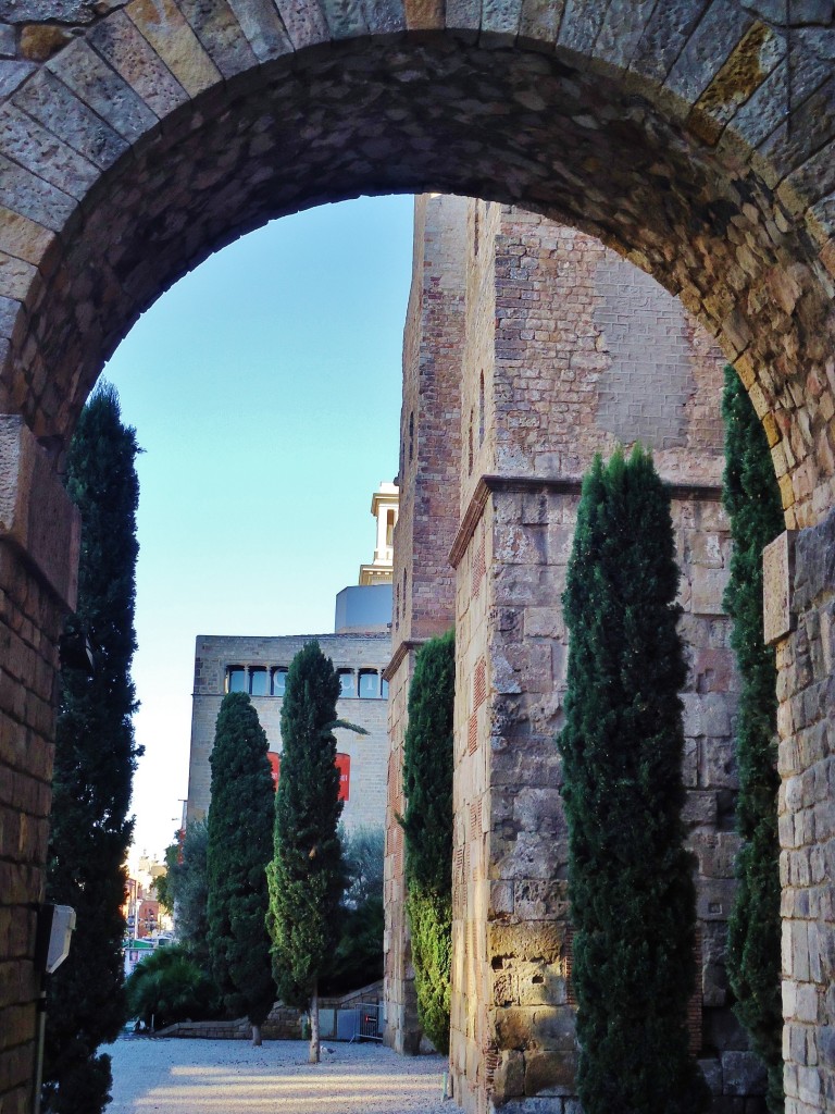 Foto: Plaza de la Catedral - Barcelona (Cataluña), España