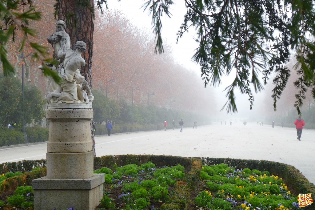 Foto: Niebla en el Parque del Retiro - Madrid (Comunidad de Madrid), España