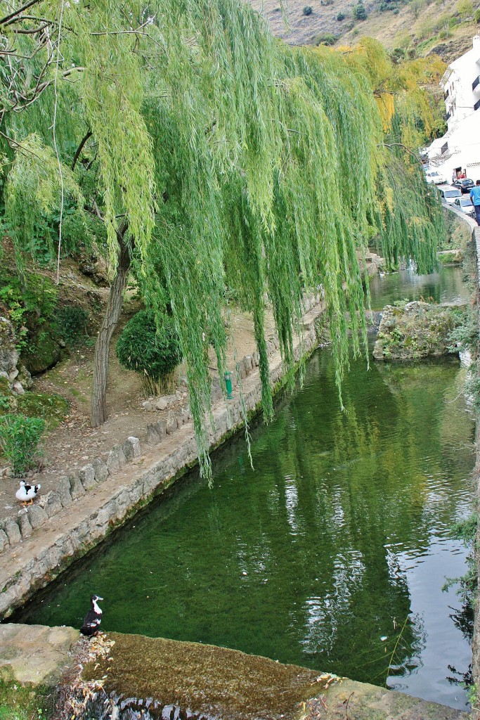 Foto: Rio Cerezuelo - Cazorla (Jaén), España