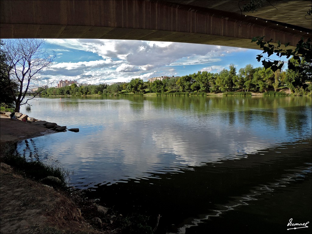 Foto: 130930-06 ORILLAS DEL EBRO - Zaragoza (Aragón), España