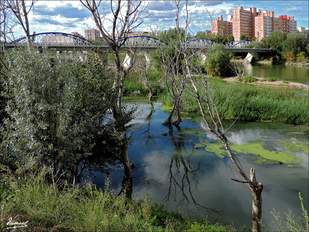 Foto: 130930-13 ORILLAS DEL EBRO - Zaragoza (Aragón), España