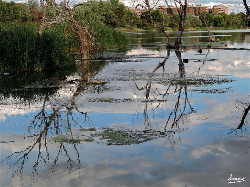 Foto: 130930-20 ORILLAS DEL EBRO - Zaragoza (Aragón), España