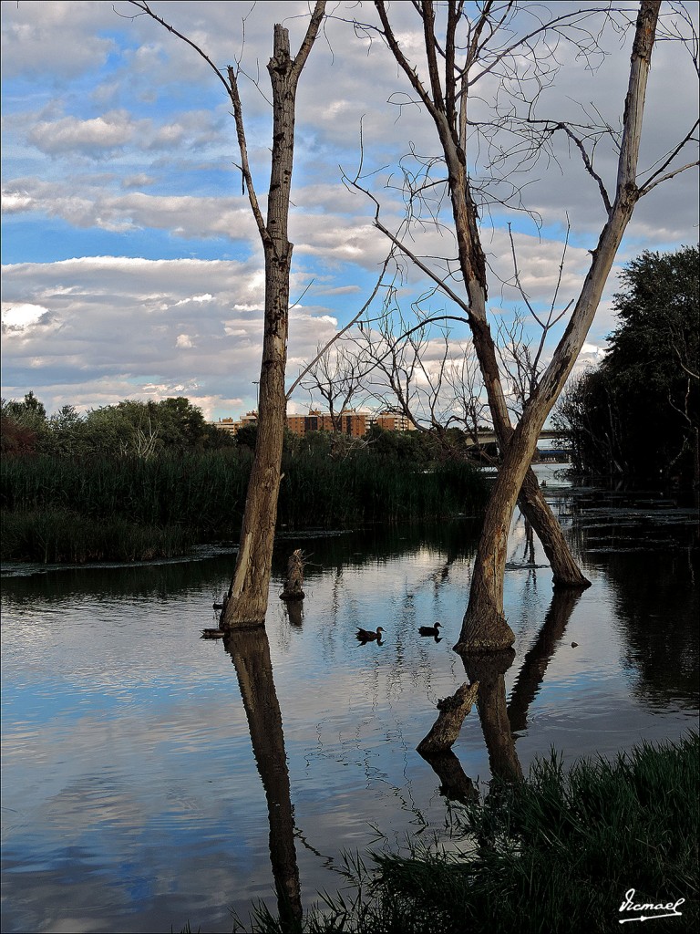 Foto: 130930-22 ORILLAS DEL EBRO - Zaragoza (Aragón), España