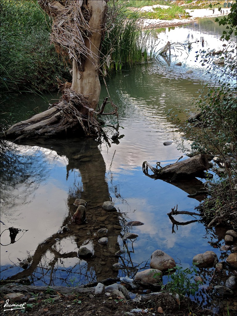 Foto: 130930-24 ORILLAS DEL EBRO - Zaragoza (Aragón), España