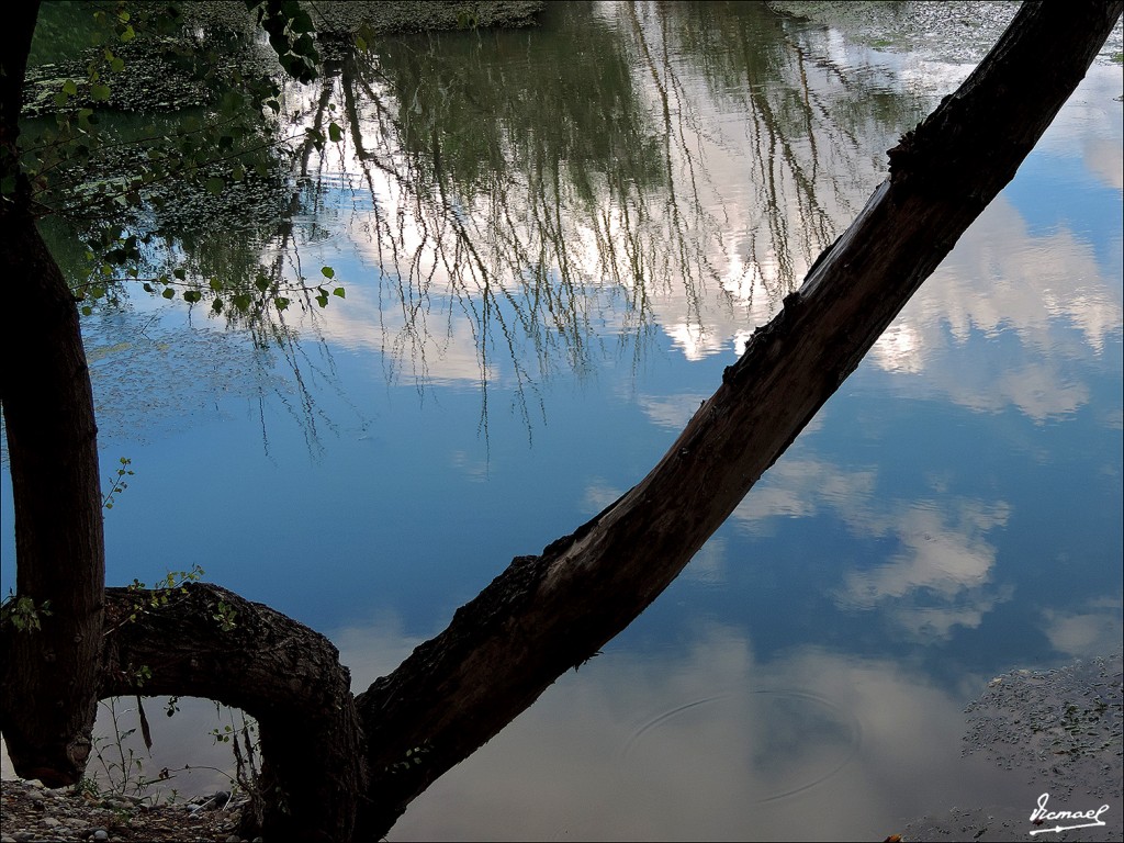 Foto: 130930-25 ORILLAS DEL EBRO - Zaragoza (Aragón), España