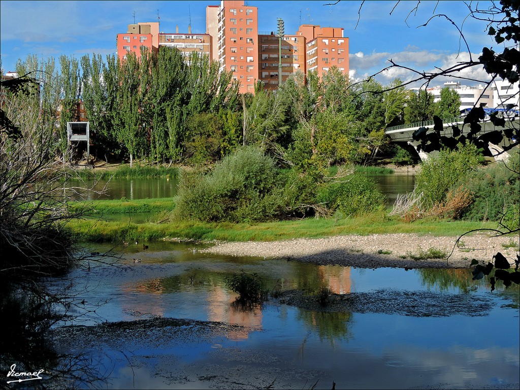 Foto: 130930-27 ORILLAS DEL EBRO - Zaragoza (Aragón), España