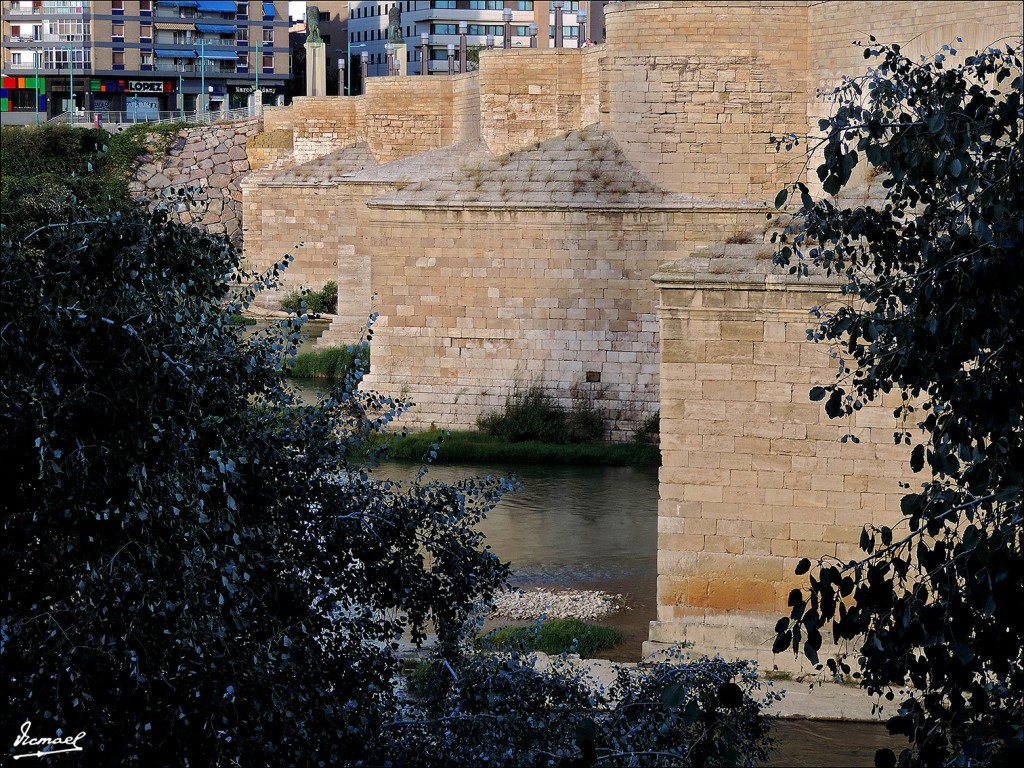 Foto: 130930-33 ORILLAS DEL EBRO - Zaragoza (Aragón), España