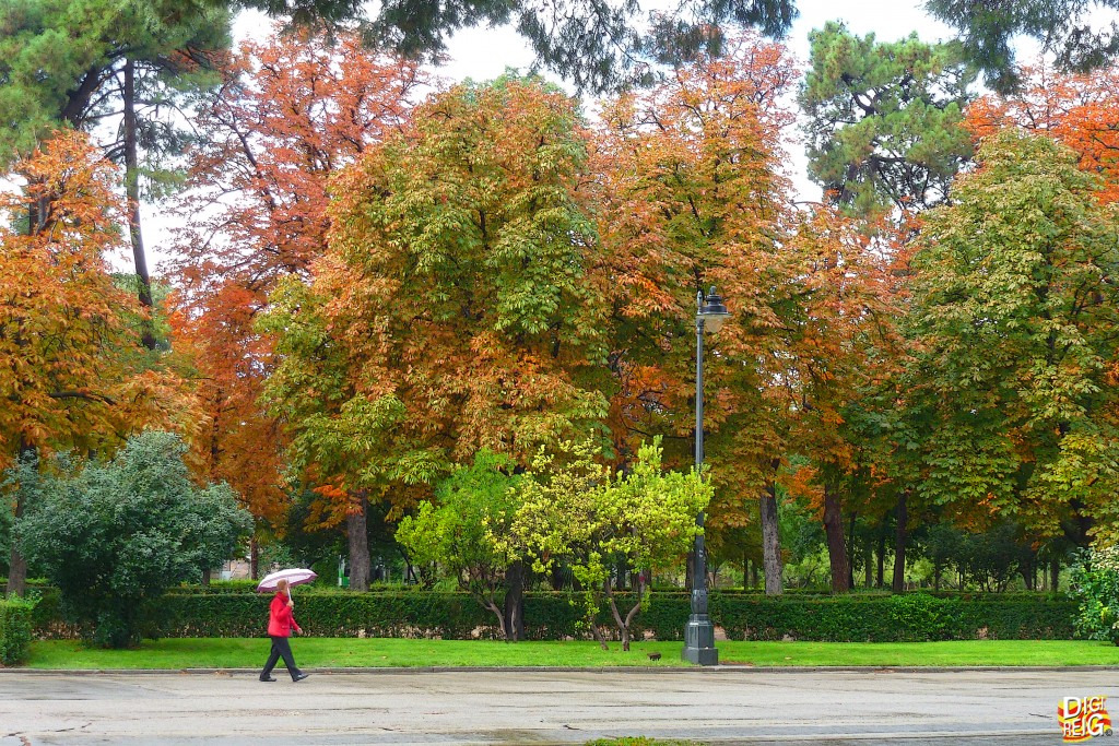 Foto: Paseo del Duque Fernán Nuñez-Retiro - Madrid (Comunidad de Madrid), España