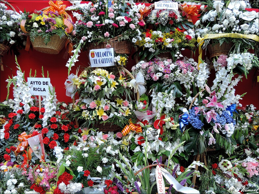 Foto: 131014-49 OFRENDA DE FLORES - Zaragoza (Aragón), España