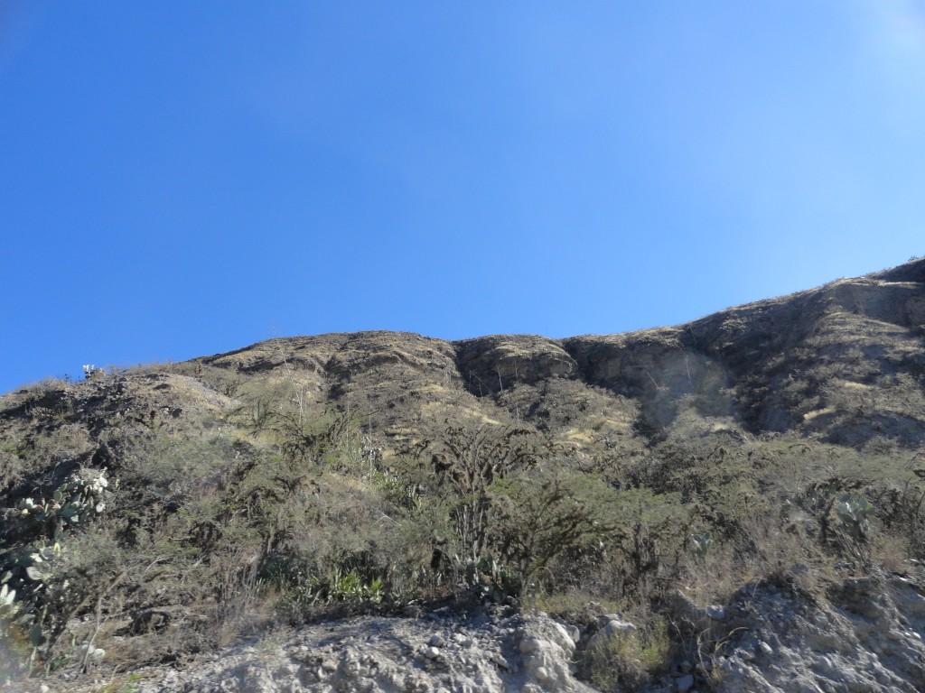 Foto: Paisaje - Mira (Imbabura), Ecuador